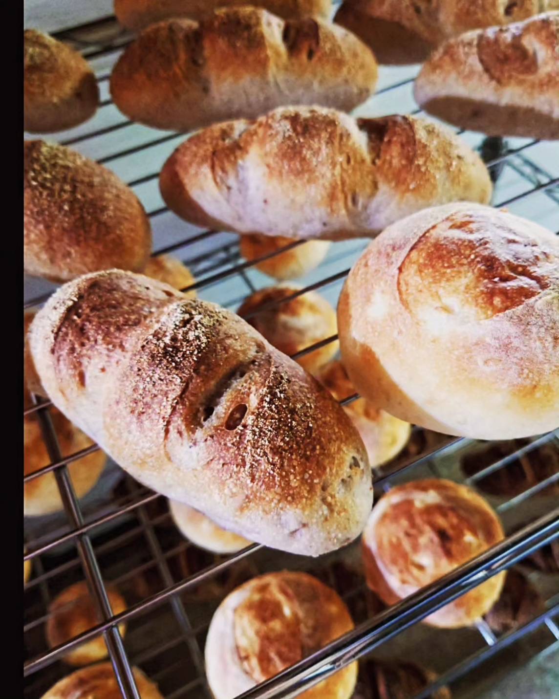 キャンプ場の食事