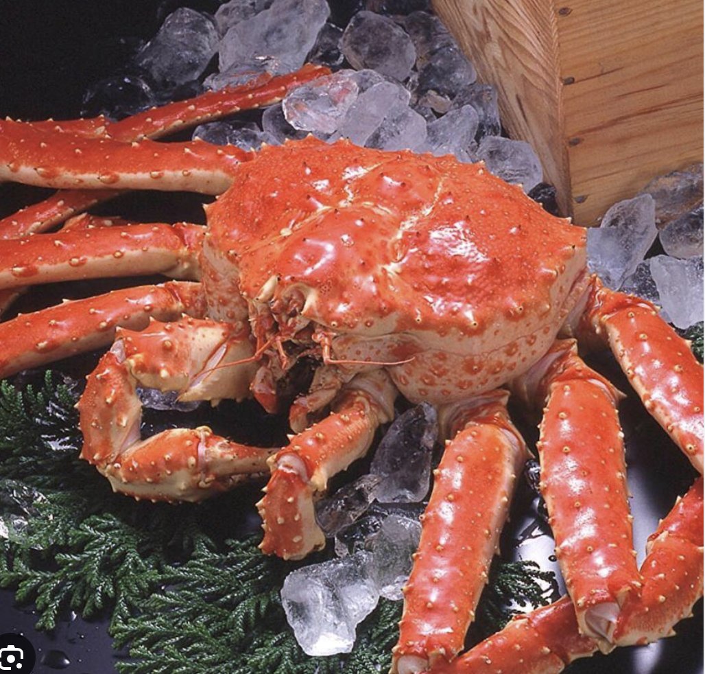 キャンプ場の食事